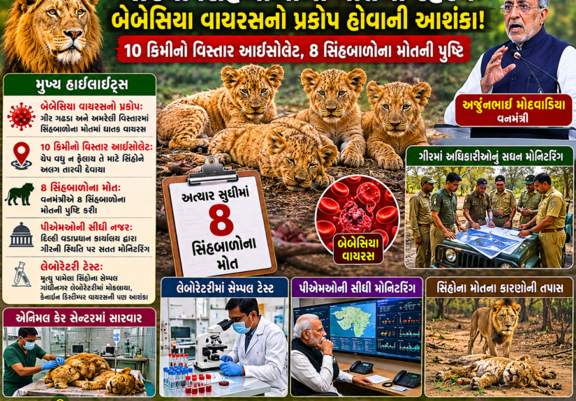 ChatGPT Image May 29, 2026, 02_07_31 PM