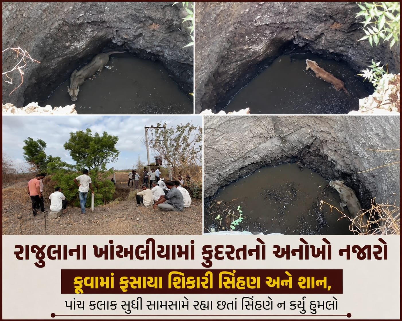 WhatsApp Image 2026-06-16 at 6.00.15 PM