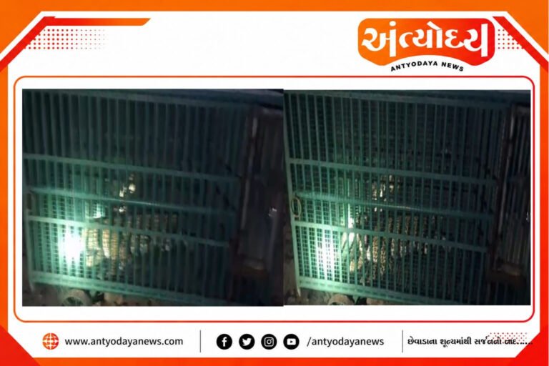 Untitled Project - 2026-07-15T223914.699