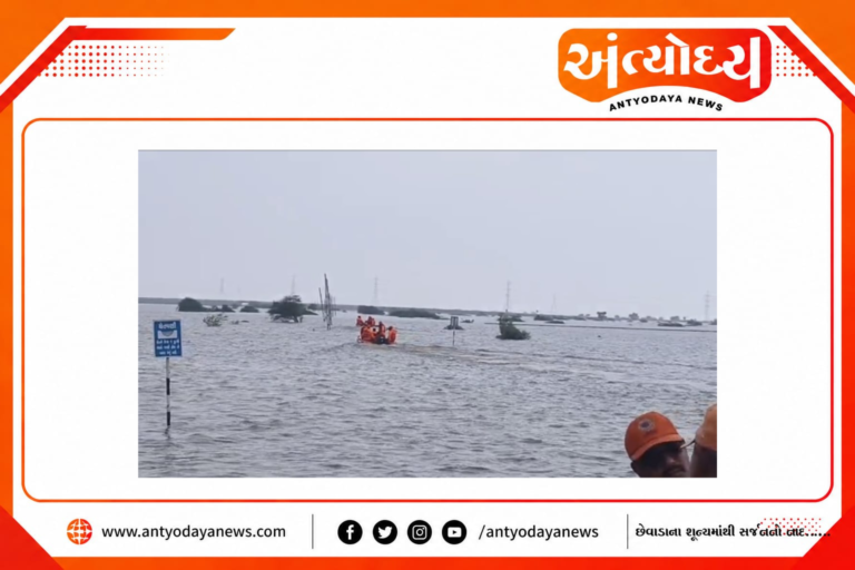 અનામાંકિત ડિઝાઇન (3)